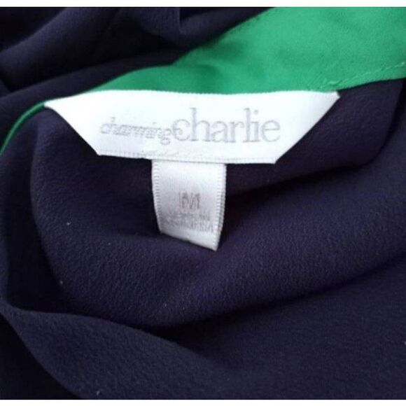 CHARMING CHARLIE NAVY & GREEN DRESS SZ.M EUC. - Picture 6 of 8